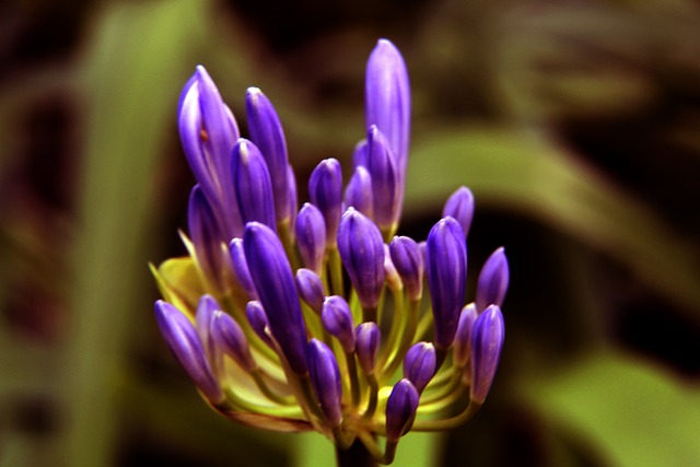 这种复杂性 这种复杂性