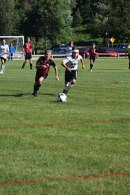 层对深圳新 层对深圳新